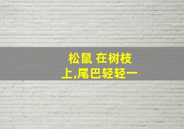 松鼠 在树枝上,尾巴轻轻一